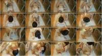 scatting scene preview
