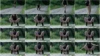 scatting scene preview