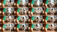 scatting scene preview