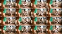 scatting scene preview