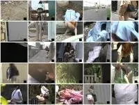 scatting scene preview