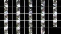 scatting scene preview