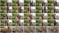 scatting scene preview