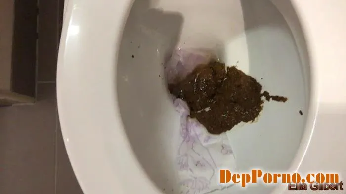 3 Types of Shit One Single Day [HD 720p]  2018 (EllaGilbert) Poop, Shit