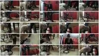scatting scene preview