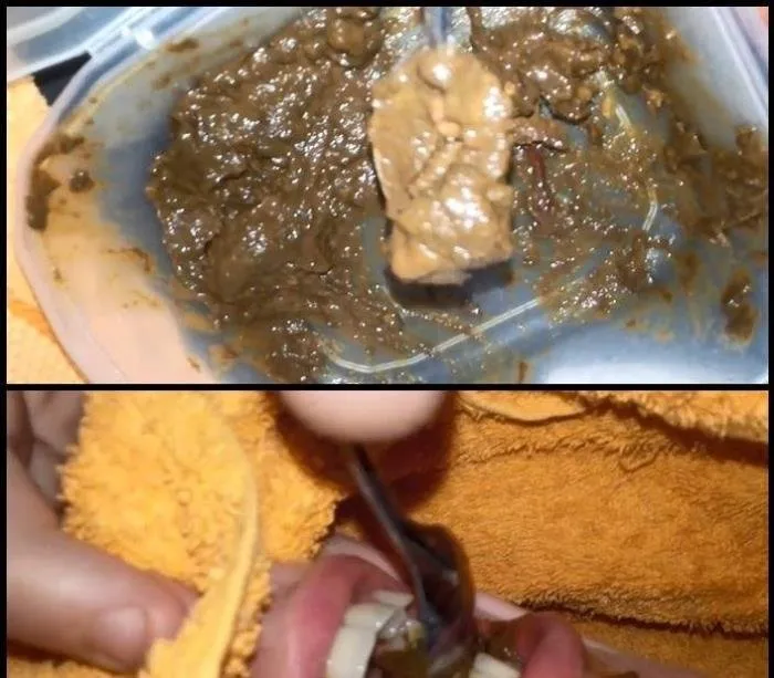 Extreme Incredible amateur Scat Beauty Teen Slave Feeding (She Eats A Lot Of Shit Real Feeding) [FullHD 1080p]  2018 (Scat Amateur) Femdom, Shitting