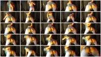 scatting scene preview