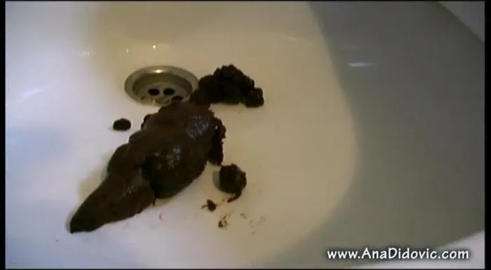 Mega Hard [SD]  2018 (Ana Didovic) Shitting Girls, Solo Scat