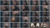 scatting scene preview