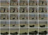 scatting scene preview