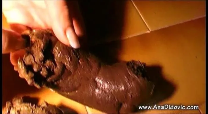Brown Bathroom [SD]  2018 (Ana Didovic) Poop Smear, Shitting