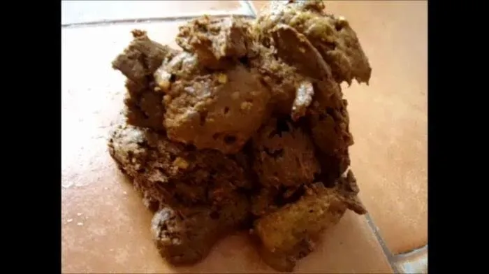 Homemade Scat 9 [SD]  2018 (Karolay) Poop, Solo