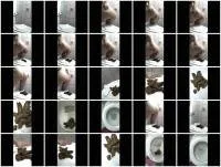 scatting scene preview