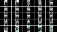 scatting scene preview
