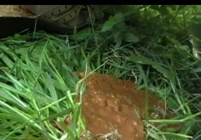 Russian poop girl [SD]  2018 (Anna) Outdoor, Shitting