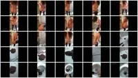 scatting scene preview