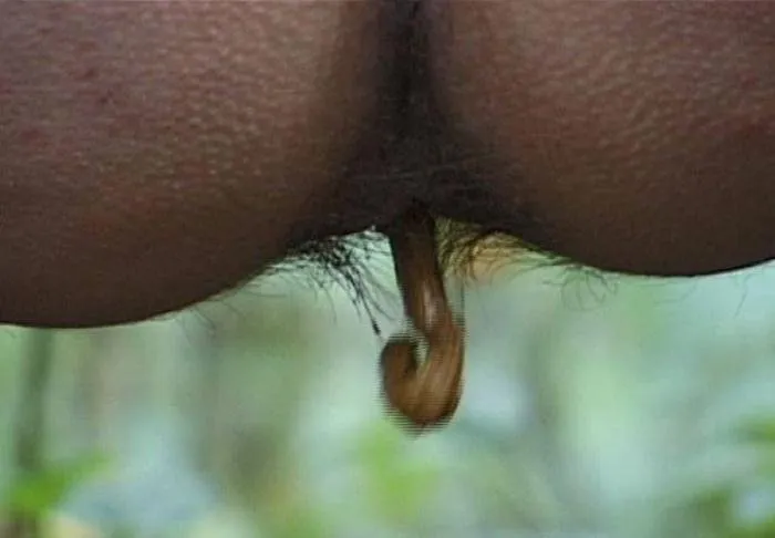 Shitting_494 [SD]  2018 (ScatMature) Мature, Shit Eating