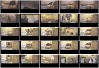 scatting scene preview