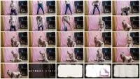 scatting scene preview