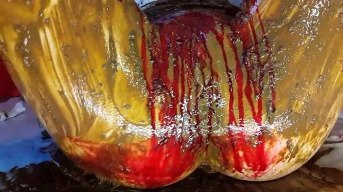 Shit and Blood Vol.5 Speculum Part 2 [FullHD 1080p]  2018 (Anna Coprofield) Scatology, Poop
