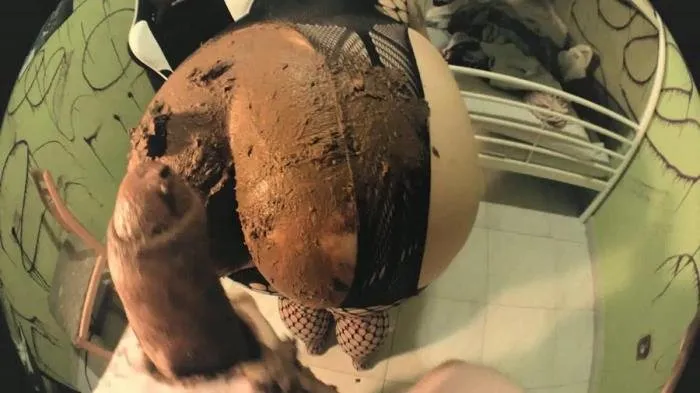 Wanna polish your bone, on my shit? [FullHD 1080p]  2018 (Actress: DirtyBetty)