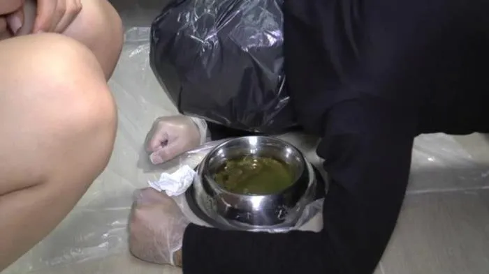 Human toilet paper [HD 720p]  2018 (Mistress Gaia) Humiliation