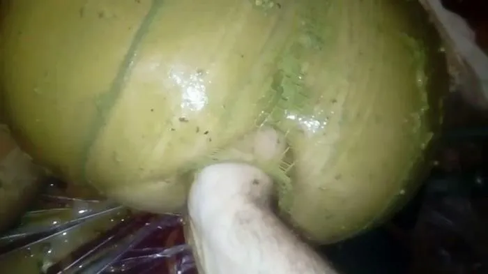 Dirty Nurse Filthy Hardcore Porn Shit [FullHD 1080p]  2019 (Marlinda Branco) Amateur, Fisting