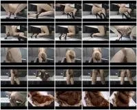 scatting scene preview