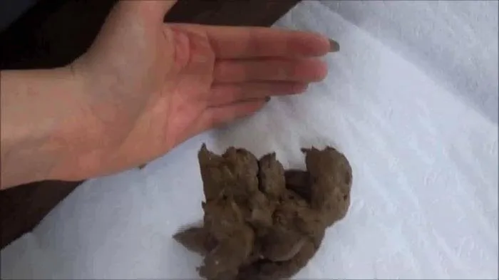 Biggest shit ever is coming [FullHD 1080p]  2019 (HotDirtyIvone) Extreme Scat, Scatology