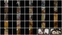 scatting scene preview