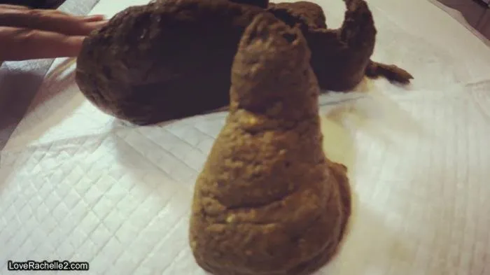 Turd Cutter Series… Shit & Showoff: Part 8 [FullHD 1080p]  2020 (Actress: LoveRachelle2)