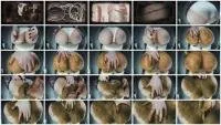 scatting scene preview