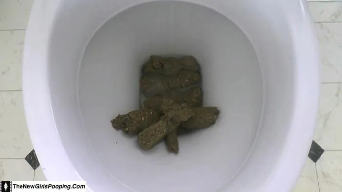 Toilet Destroyed In 5 Mins [FullHD 1080p]  2020 (ShitGirl) Extreme Scat, Defecation