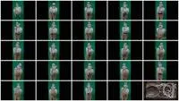 scatting scene preview