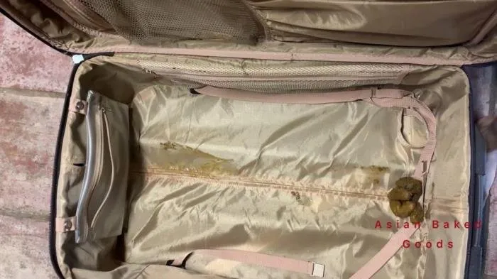 Shit in suitcase, dragged around town! [FullHD 1080p]  2021 (Actress: Marinayam19)