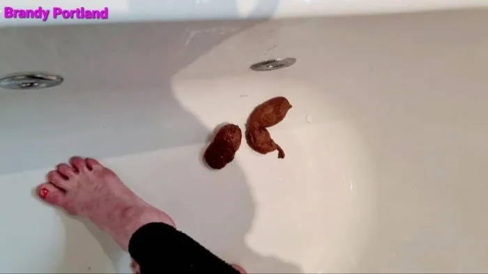 Secret Poop Full House [FullHD 1080p]  2021 (Brandy_Portland) Poop, Defecation