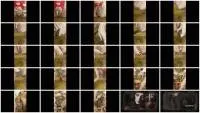 scatting scene preview