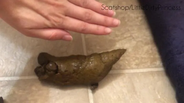 Urgent shit plops on the floor [FullHD 1080p]  2022 (LittleDirtyPrincess) Toilet Slavery, Solo