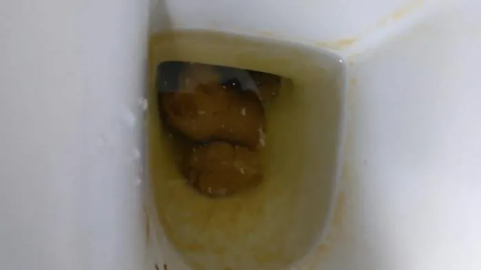 Talking on the toilet whilst shitting [FullHD 1080p]  2022 (PooGirlSofia) Defecation, Extreme
