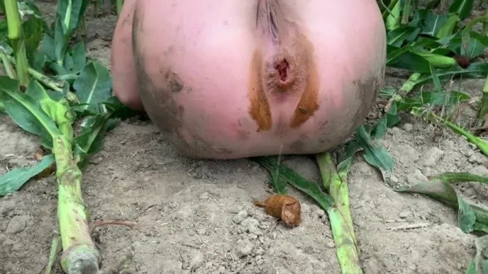 Extremely dirty with rubber boots in the field on the way [FullHD 1080p]  2022 (Devil Sophi) Outdoor, Scat