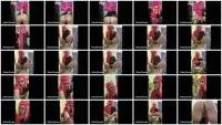 scatting scene preview