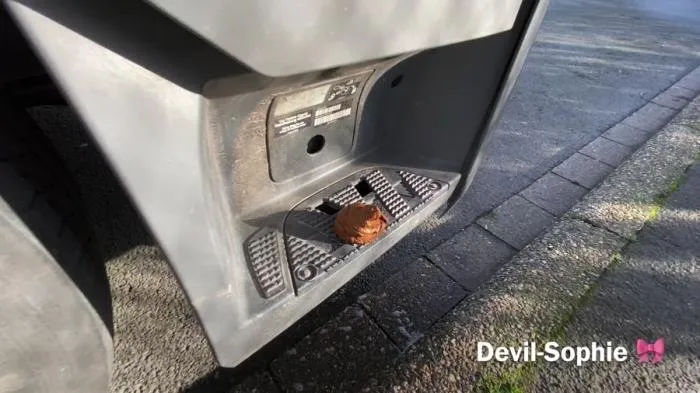 OMG - how does the shit get onto the truck running board [UltraHD 4K]  2022 (Devil Sophie) Extreme, Poop