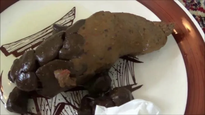 Poop on a Plate [FullHD 1080p]  2022 (Tegan Brooke) Big pile, Shitting