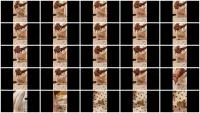 scatting scene preview
