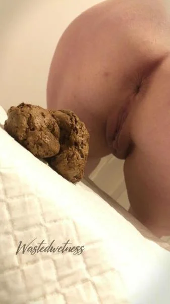 Sitting And Shitting [FullHD 1080p]  2026 (Wastedwetness)