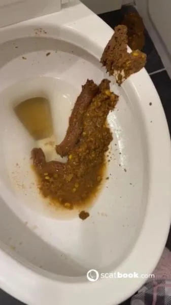 Bossys Bathroom Blunder A Splattered Catastrophe [SD]  2026 (USA, Kaviar)