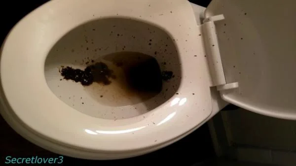 Toilet Spray [FullHD 1080p]  2026 (Poop, Amateur)