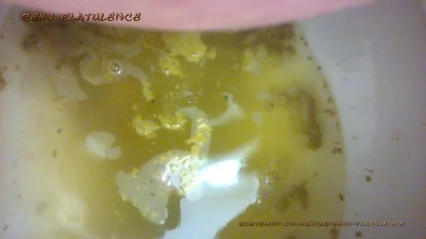 Diarrhea In The Toilet [FullHD 1080p]  2026 (Milf, Solo)