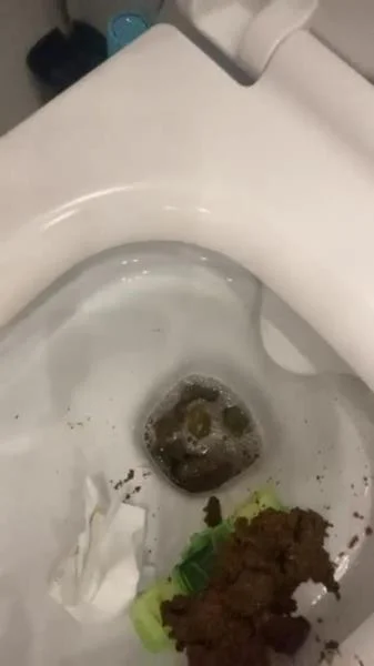 Daily portion of shit for my bitches [SD]  2026 (Kaviar, Humiliation)