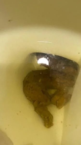 Shitting On The Bathroom Floor At Work [SD]  2026 (Poop, Big Ass)